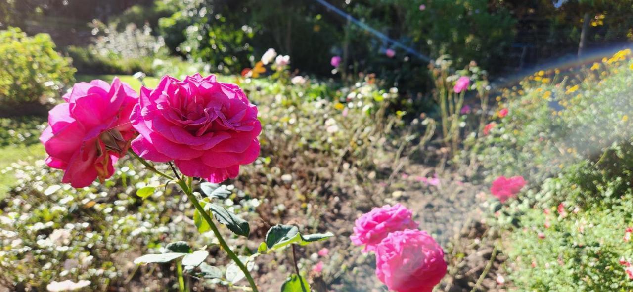 Marilyn'S Rooms Swellendam Ngoại thất bức ảnh